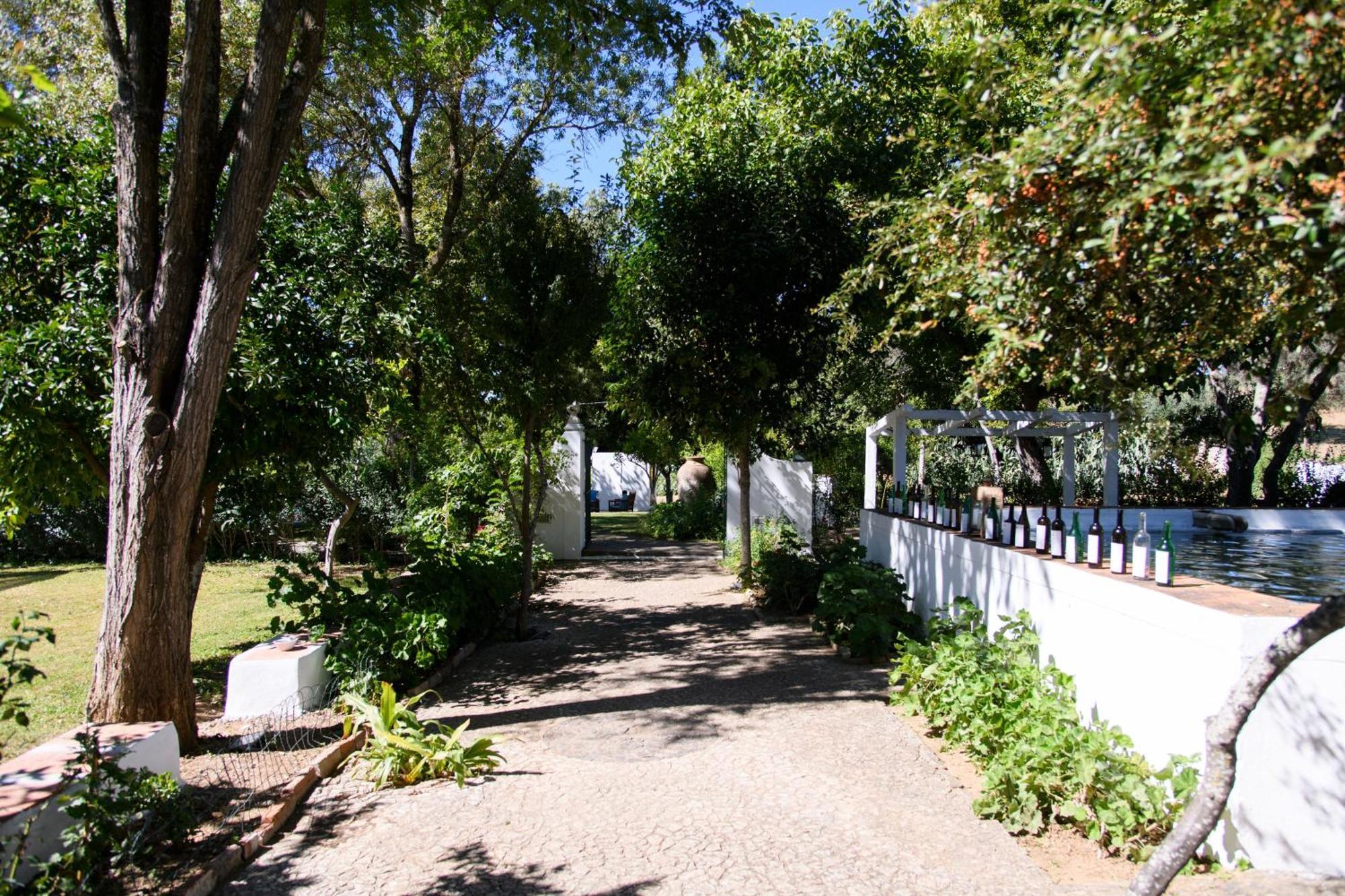 Monte Dos Pensamentos - Turismo Rural Estremoz Eksteriør bilde